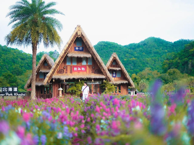 --Hokkaido Flower Park Khaoyai--  🌸🌺
