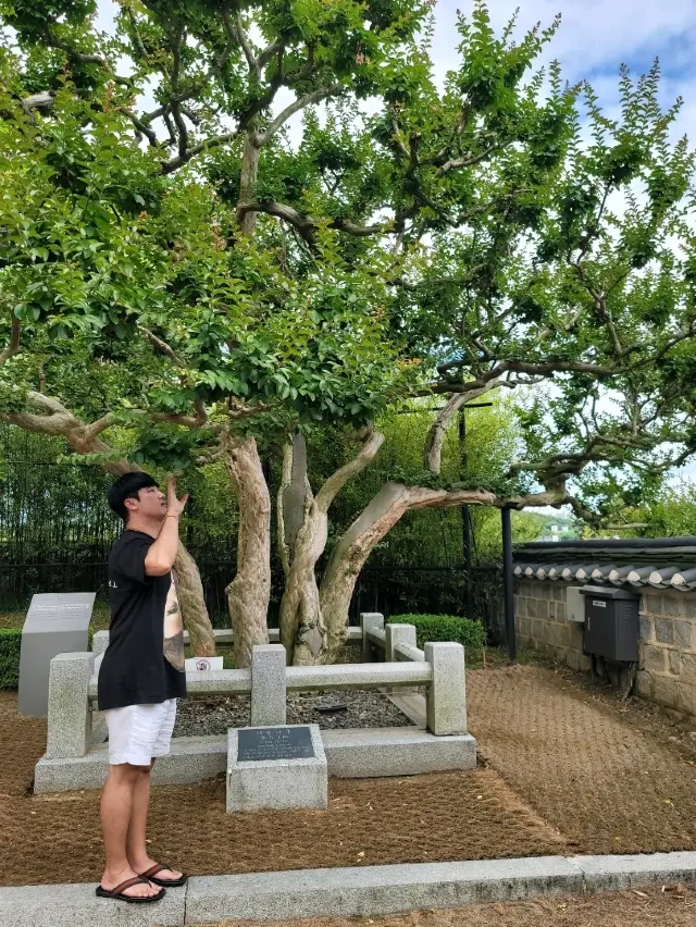 江陵旅行必去景點烏竹軒