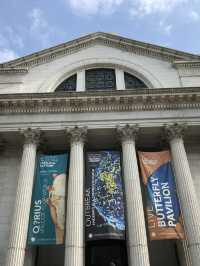 Smithsonian national museum of natural history 