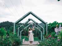 เที่ยวทองผาภูมิ ดูสายหมอกในฤดูฝน
