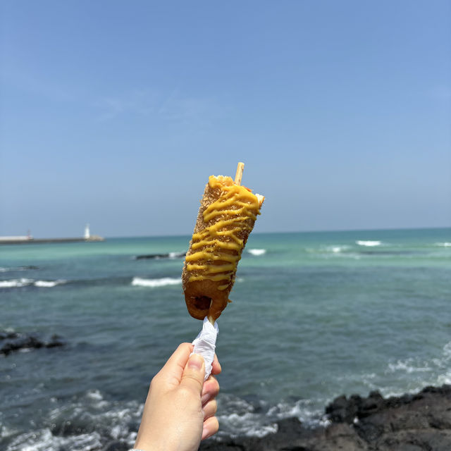 제주여행🏝️ 세화민속오일장에서 경험하는 전통 재래시장의 맛💚