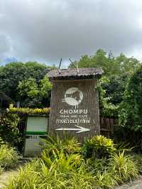 บ้านปูคาเฟ่ ตราด ค่าเฟ่สวย สงบ บรรยากาศดี 🦀