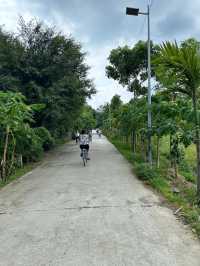 ベトナム北部の絶景の秘境ニンビン！歴史的な遺産をサイクリング！