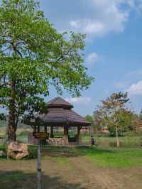 น้ำผุร้อน โป่งกระทิง กางเต็นท์  ราชบุรี 