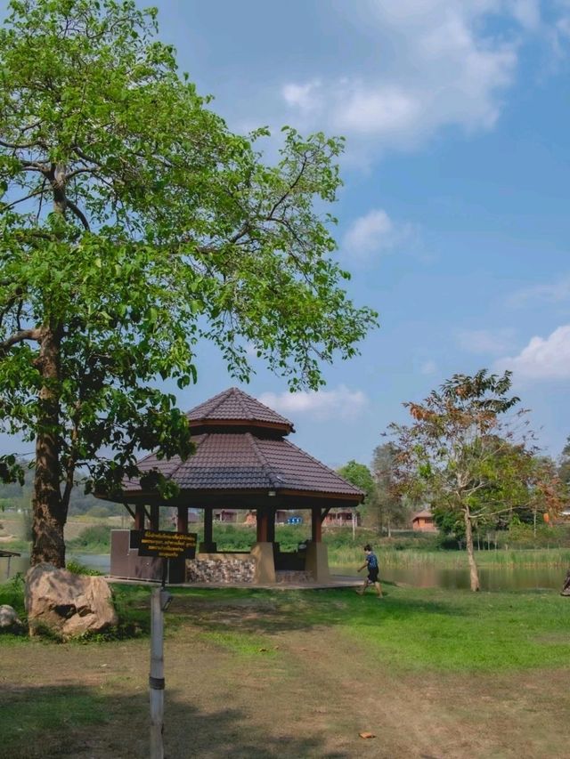 น้ำผุร้อน โป่งกระทิง กางเต็นท์  ราชบุรี 