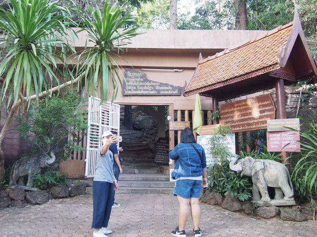 ภูทอก : บึงกาฬ