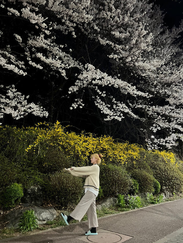 오창 호수 공원, 야경 맛집, 산책하기 좋은 곳