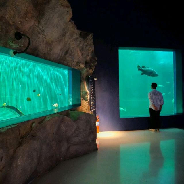 ทัวร์โลกใต้น้ำกับอควาเรียมบางแสนกันครับ 🪼🐠🦈