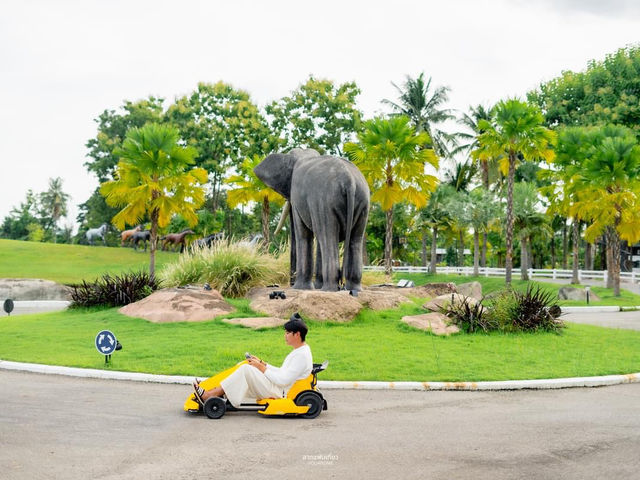 ขับโกคาร์ทชมธรรมชาติที่สวยงาม