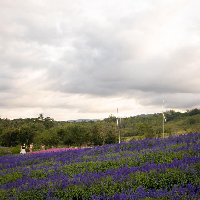  Camper Flowery Khaoyai   