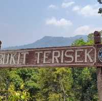 Into the Wild: Uncover the Mysteries of Taman Negara, Pahang