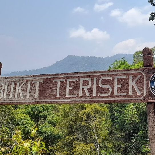 Into the Wild: Uncover the Mysteries of Taman Negara, Pahang