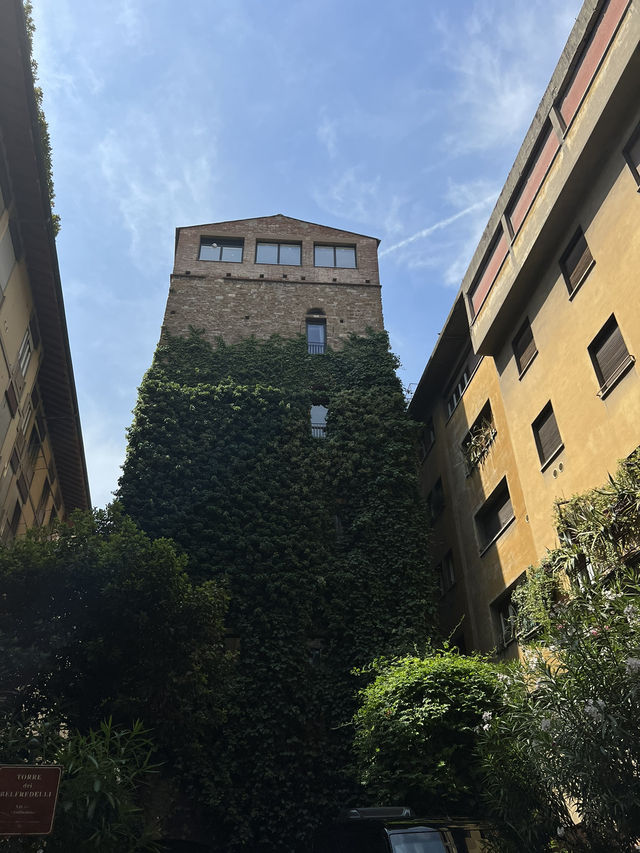 A Day Exploring Florence on Foot in Italy 🇮🇹