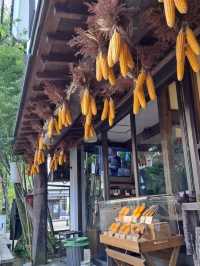 【阿蘇門前町商店街:熊本県阿蘇市】阿蘇神社から歩いてすぐ♪