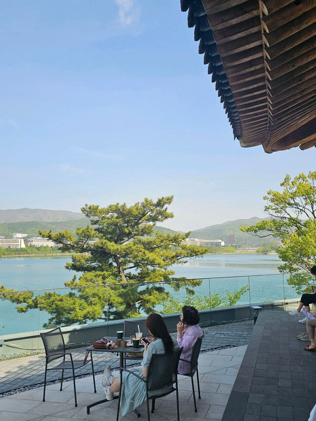 🫧ℴ🧸⋆｡엘로우 카페 경주여행 최애 뷰맛집◞ 