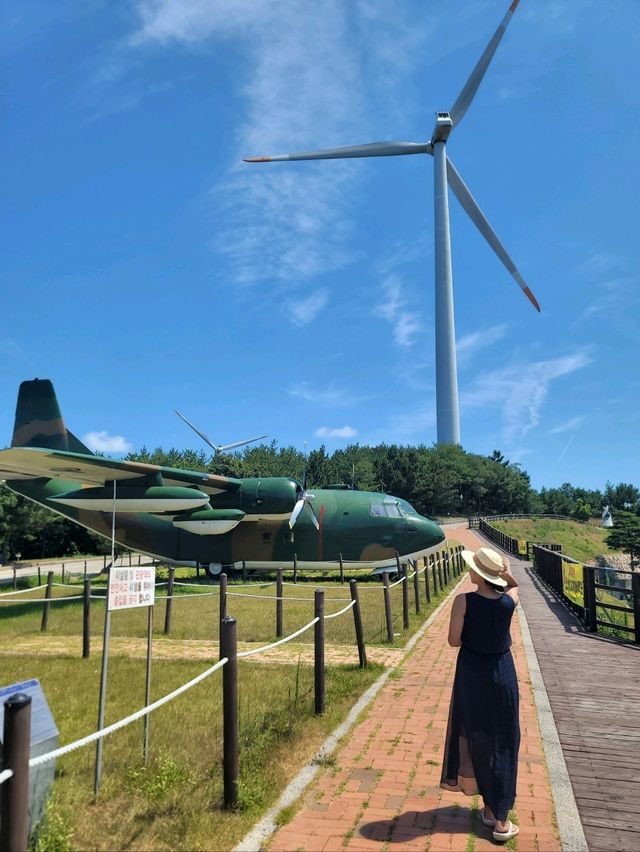 오래된 전투기도 볼수있는 영덕여행지🩵
