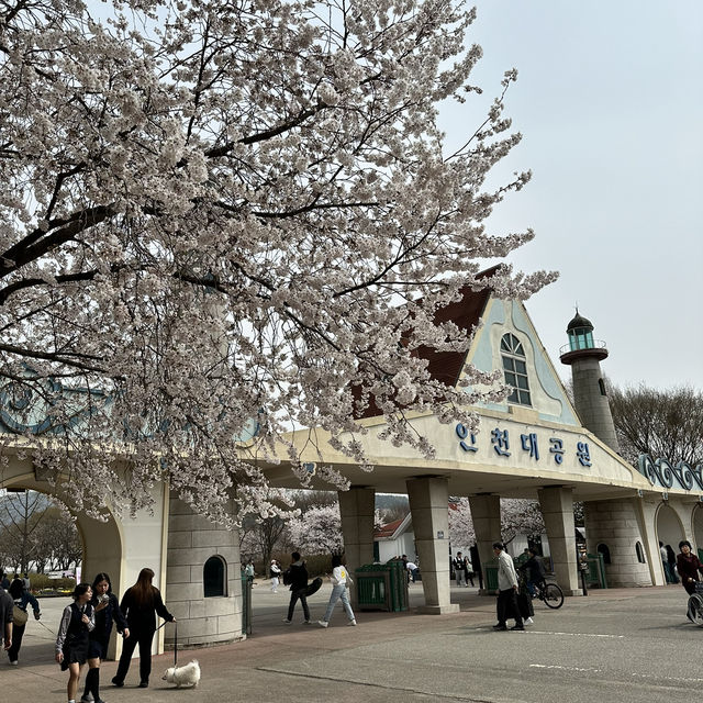 푸릇푸릇한 자연속의 쉼터 인천대공원🏞️