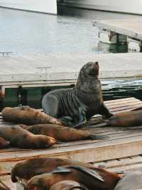 V&A Waterfront , Cape Town South Africa 