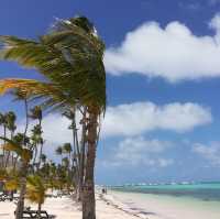 "Barcelo Bavaro Beach阿根廷酒吧"
