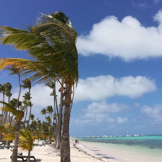 "Barcelo Bavaro Beach阿根廷酒吧"