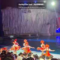 🐧Harbin Polar land 哈爾濱極地公園·極地館 