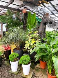 A Day at AGRO Nursery, Adda Heights