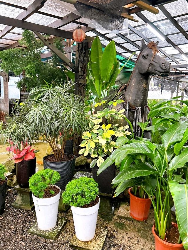 A Day at AGRO Nursery, Adda Heights