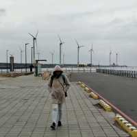 From Markets to Wetlands: A Taste of Taichung in a Day