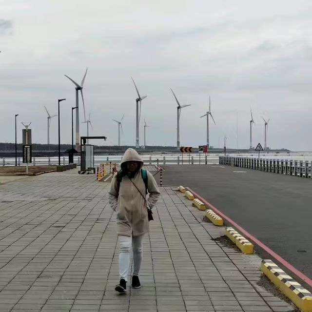 From Markets to Wetlands: A Taste of Taichung in a Day