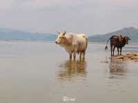นั่งเรือมาถ่ายรูปกับสะพานของน้องน้ำกับพี่โชน