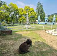 富田花園農場