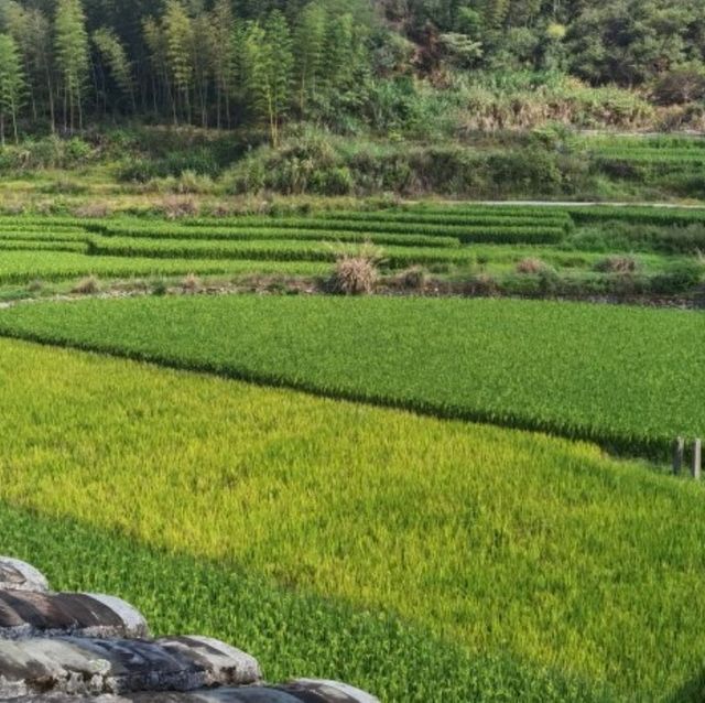 Private fort relics in 21st century Dehua