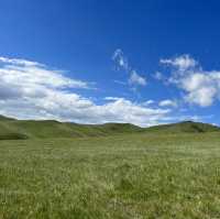 Hustai Highlights - Embracing Mongolia's Untamed Beauty