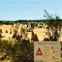 Nature's Artistry: The Breathtaking Pinnacles Desert