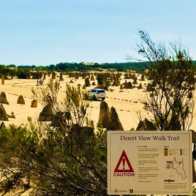 Nature's Artistry: The Breathtaking Pinnacles Desert