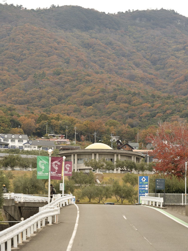 [四國自駕遊] 搭乘汽車渡輪自駕前往小豆島