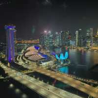 360 Degrees of Magic: The Singapore Flyer After Dark🎡