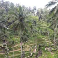 Cretya Ubud インスタ映え