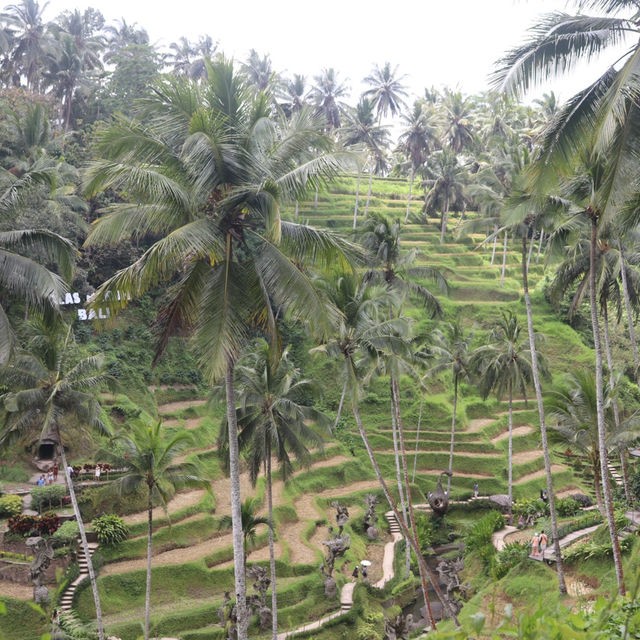 Cretya Ubud インスタ映え