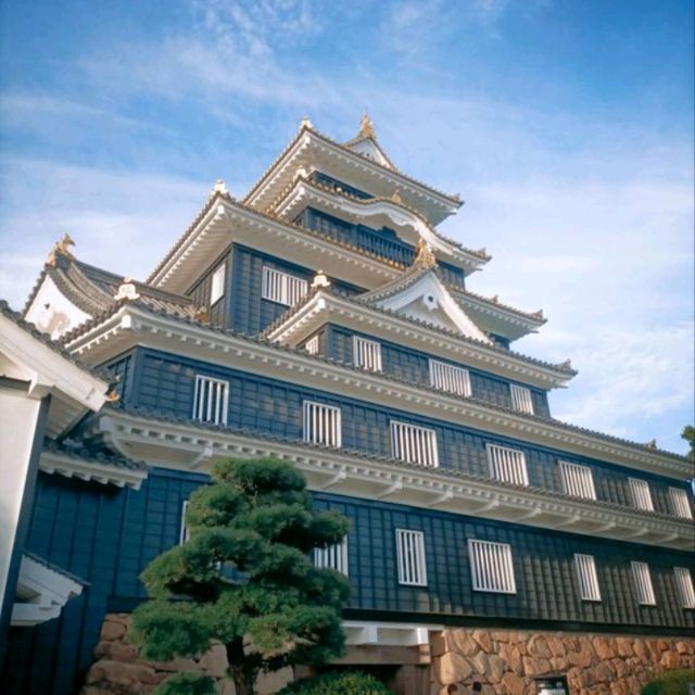 日本百大名城 - 岡山城