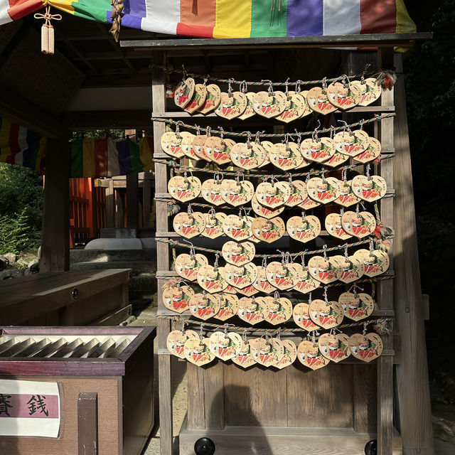 【京都】神社巡り　世界遺産！