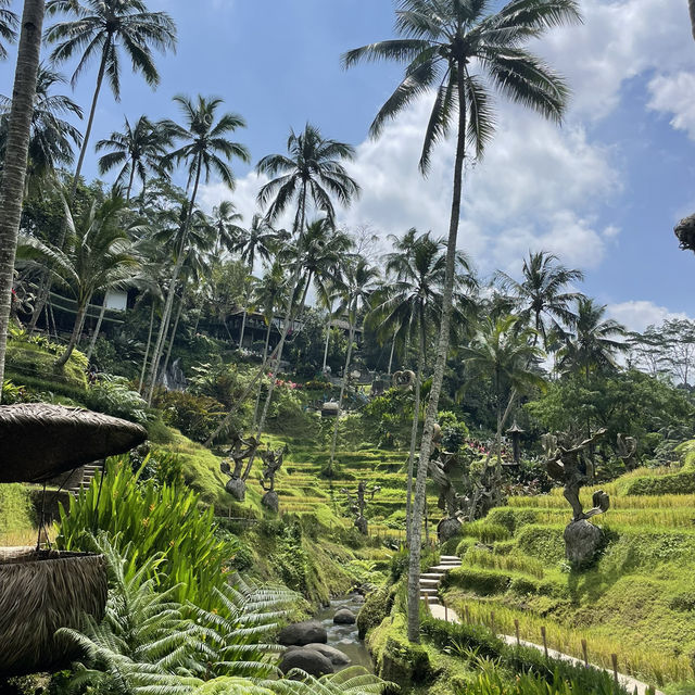 Bali - the best Getaway 🏝️