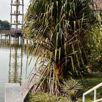 Nature's Embrace: Exploring Kompleks Sukan Air Putrajaya