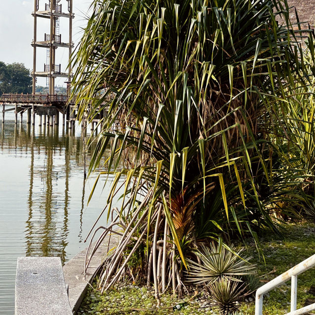 Nature's Embrace: Exploring Kompleks Sukan Air Putrajaya