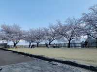 山梨観光　舞鶴城公園