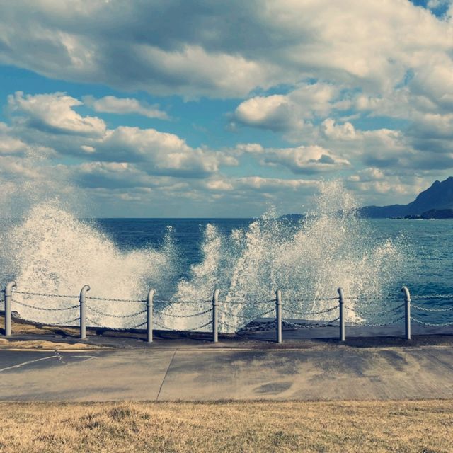 潮境公園：擁抱海天一色的自然美景
