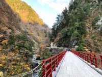 黒部峡谷トロッコ列車