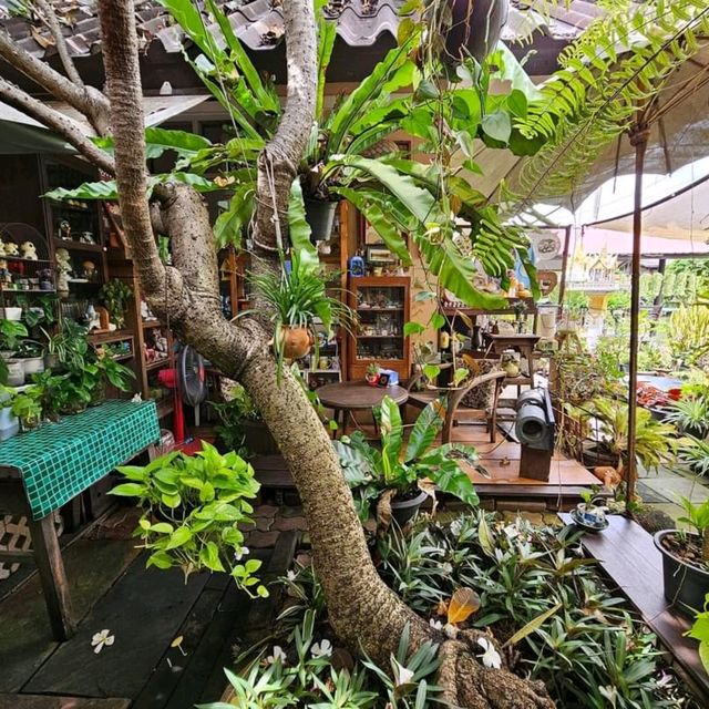 eight de klong คาเฟ่