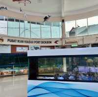 Pusat Hiasan Ikan, Port Dickson – A Hidden Gem for Marine Lovers