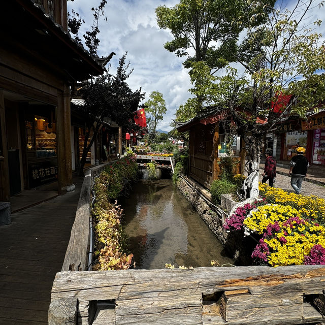 Lijiang Old Town - Bring to Dynasty 